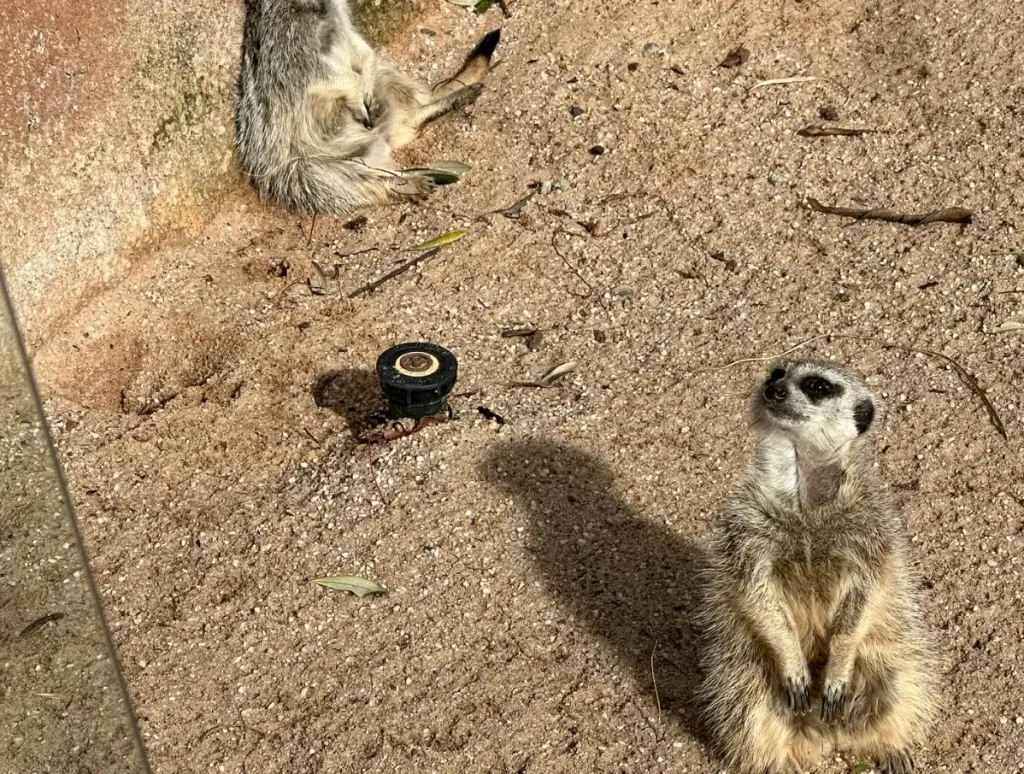 Melbourne Zoo