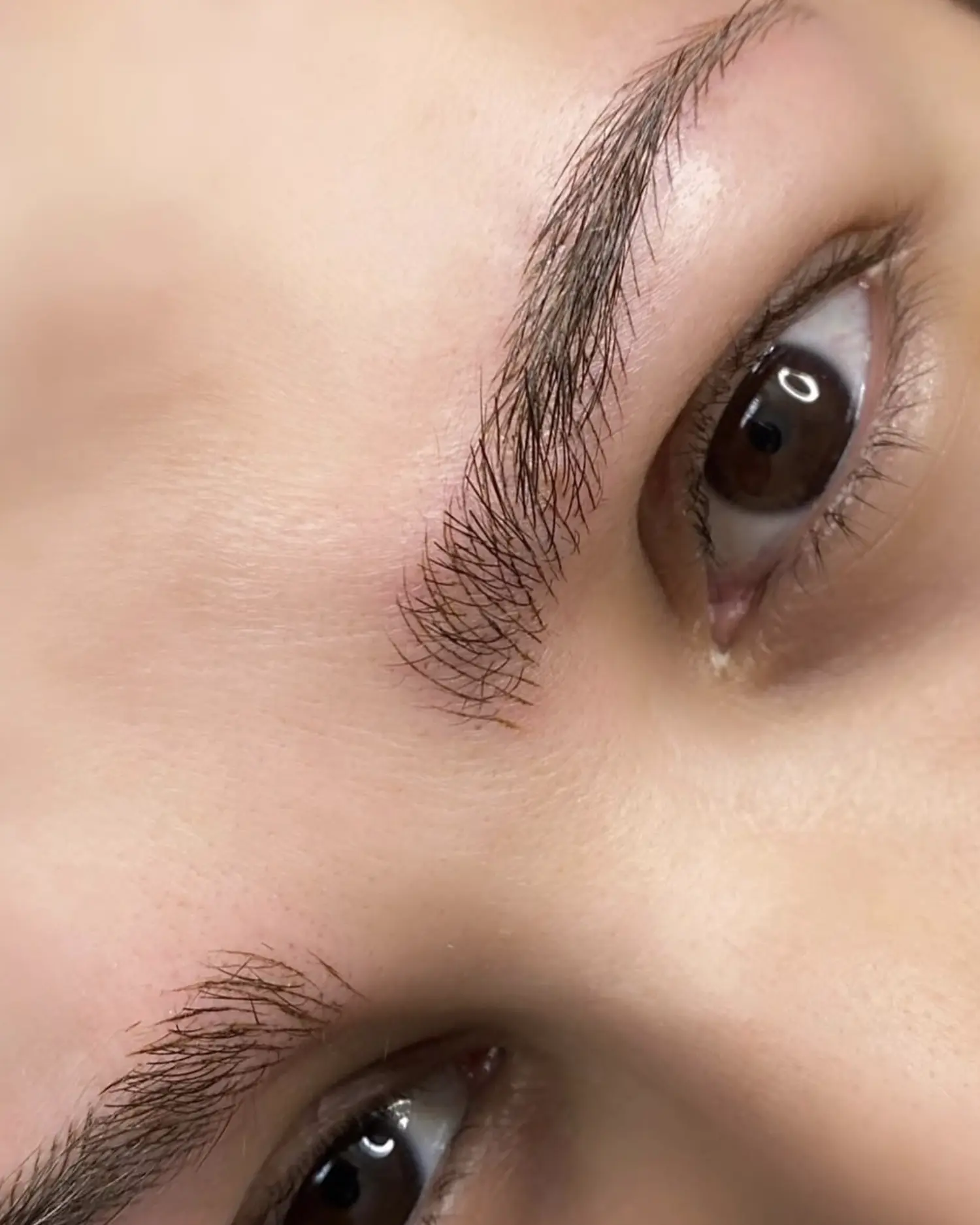 microblading touch up vs full session