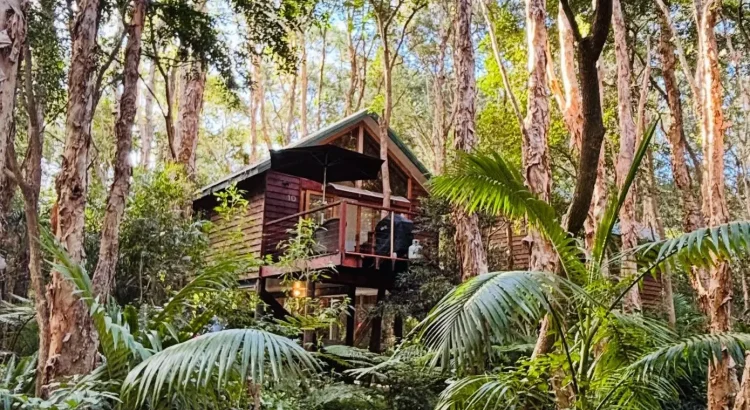australian wildlife tour experiences
